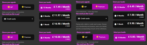 Screenshot of the Fetish.com prices