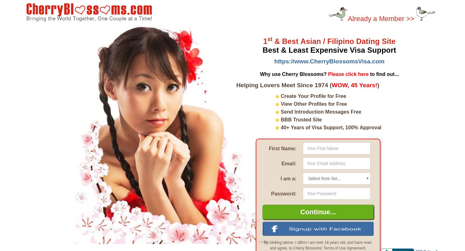 Cherry blossom dating login